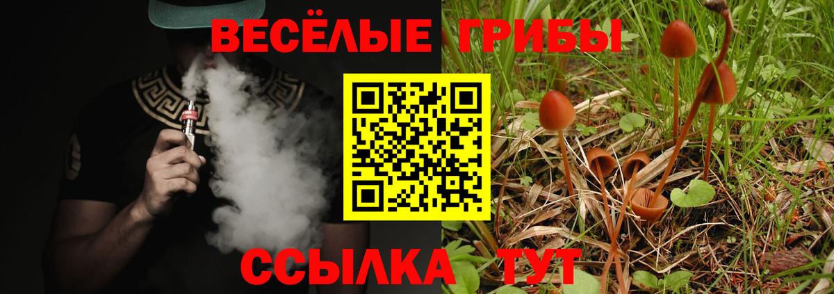 Галлюциногенные грибы ЛСД Новоалтайск